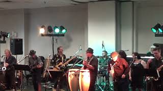 Brass Traxx   doin&#39; it right (Powder Blues Band)