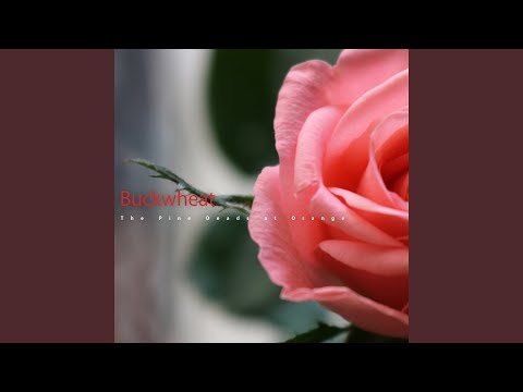 Spessartine that Citrine