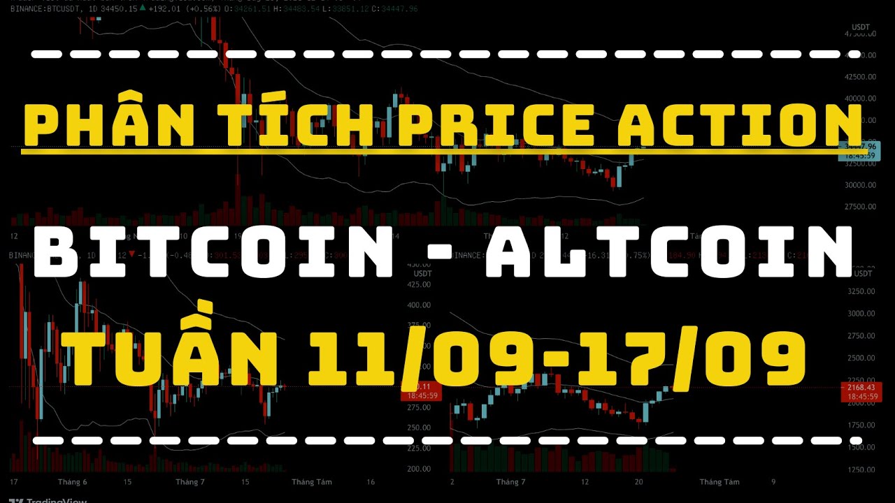 Phân Tích BITCOIN - ALTCOIN Theo Price Action Tuần 11-17/09