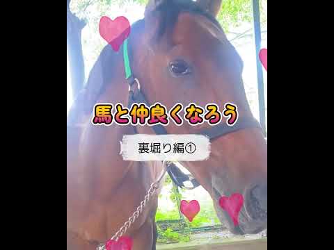 湿原乗馬草、庭の砂パイプ 植物