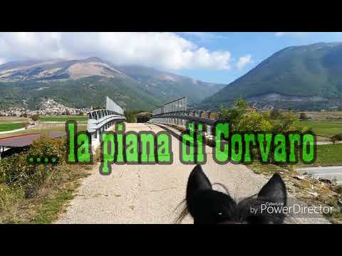 Borgorose  passeggiata a cavallo🏇