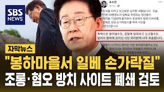 "봉하마을서 일베 손가락질"..조롱·혐오 방치 사이트 폐쇄 검토 (자막뉴스) / SBS