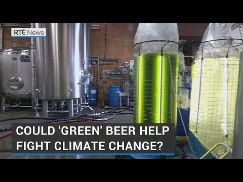 Green beer? Brewing up new solutions to climate change