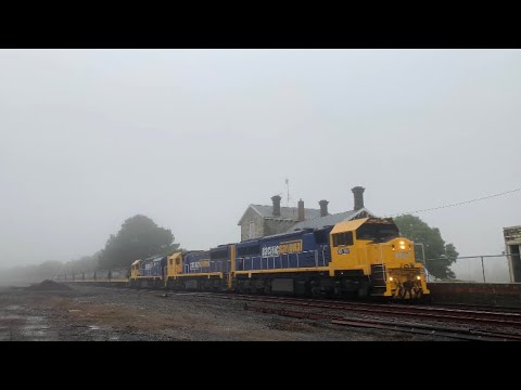 XR557 XR554 XR555 On 9148 Broad Gauge Grain Train At Meredith (5/1/2021)