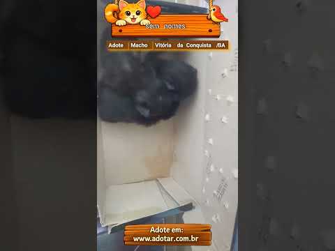 Vídeo de sem nomes