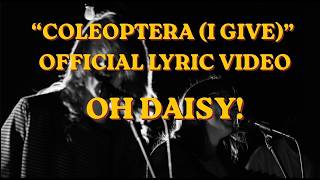 coleoptera (i give)