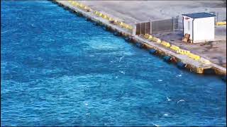 Cefali fiume Pescara