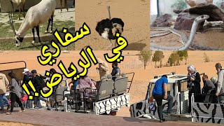preview picture of video 'سفاري أفريقيا في الرياض '