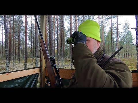 Day 1 - Älgjakt I Bastfallet 2019 - Moose Hunt