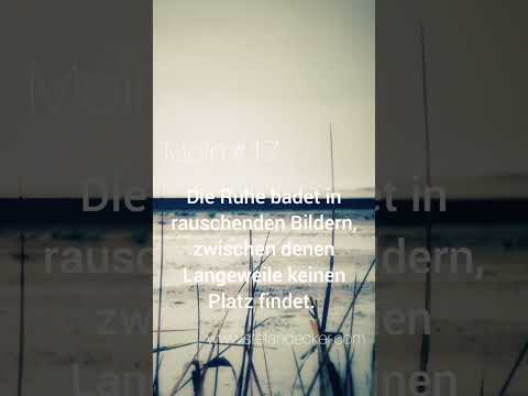 Moin 17 - Positive Impulse - Stefan Decker #shorts #ostfrieslandmusiker