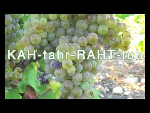 Catarratto as Spoken by Marilena Barbera