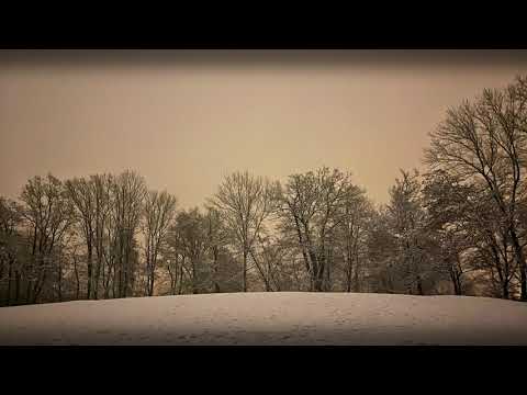 Chris Eckman - Early Snow (official visual)