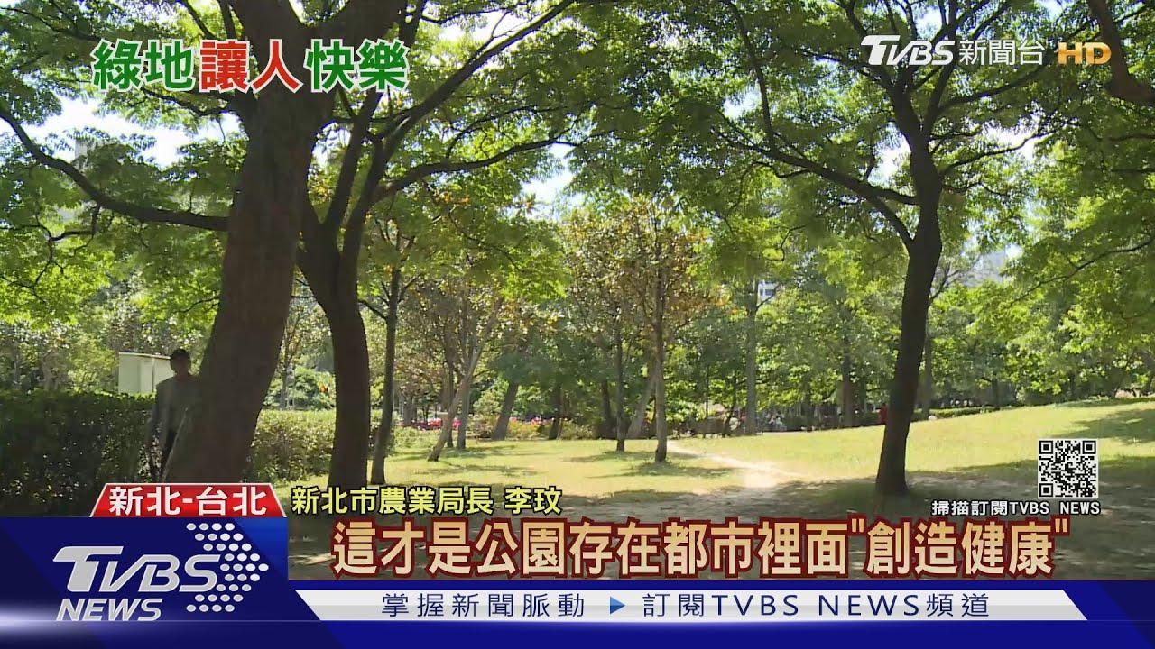 有公園綠地多幸福?研究:多10棵樹 相當多賺30萬