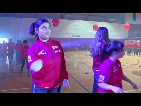 RGCC Presentación de Secciones 2019