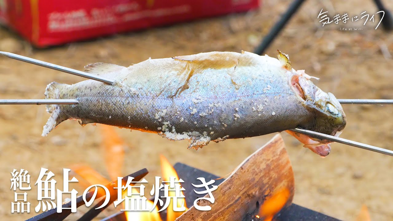 【ソロキャンプ】鮎を捌いて塩焼きにする