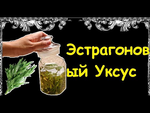 Эстрагоновый Уксус / Книга Рецептов / Bon Appetit