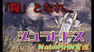 【MHW実況】MHW②～糧となれ、ジュラトドス！～【Watのnoobモンハン実況】