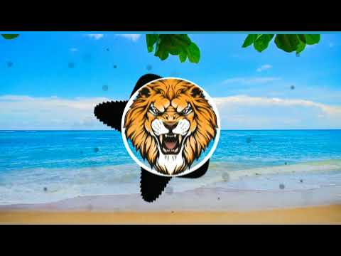 Hex Cougar, Pauline Herr, So Sus & Sejo - Everything All At Once