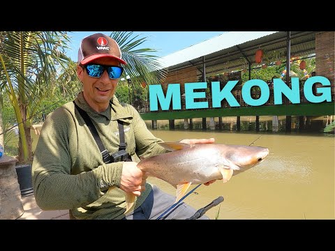Exploring The Vietnam Mekong Delta 🇻🇳 Fishing, Biking, Boating!