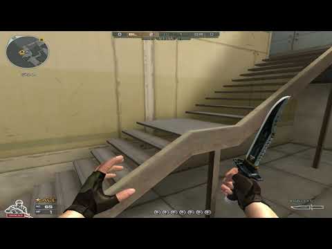 Highlights (CFSI,CFEL)