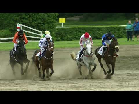 7. dostih - Cena Služeb města Pardubic - dostihy Pardubice 25. 5. 2019