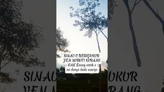 Download lagu sinau urip #quotes #fypyoutube mp3 Download lagu sinau urip #quotes #fypyoutube mp3
