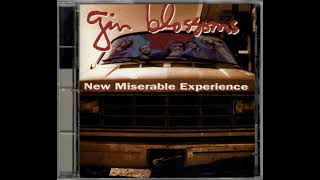 Gin Blossoms - Mrs Rita 03