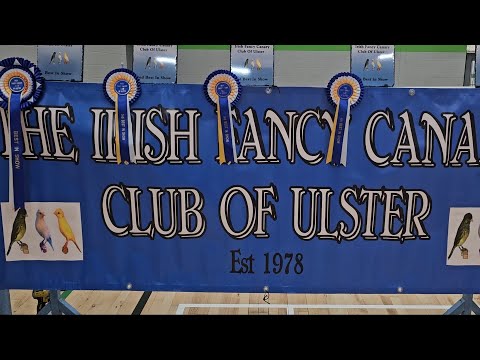 Irish Fancy Canary Club of Ulster, Annual Club show