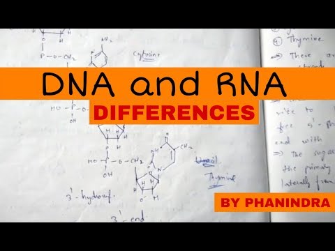 DNA REPLICATION part 1 BY PHANINDRA GUPTA