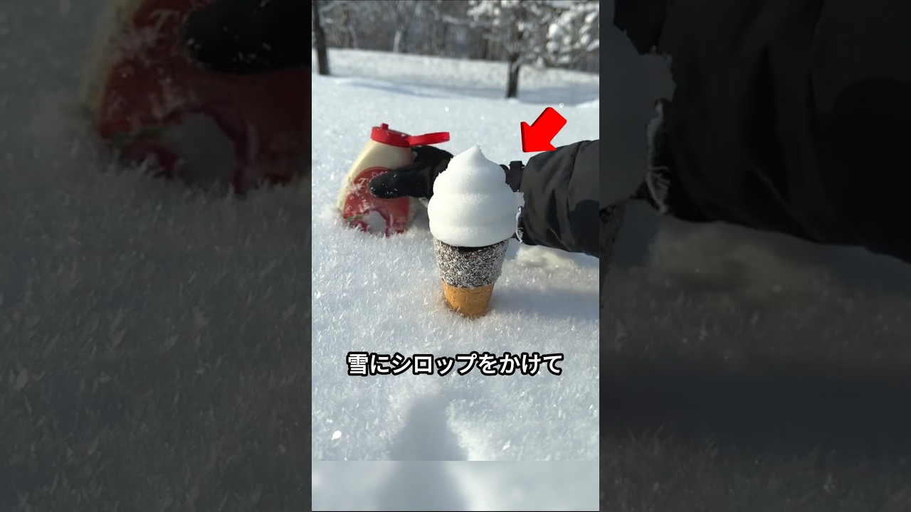 顕微鏡が映した雪の世界