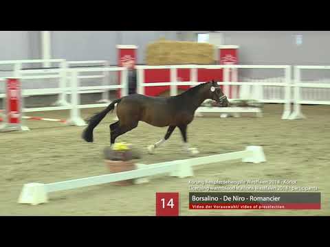 14 Hengst v. Borsalino - De Niro - Romancier