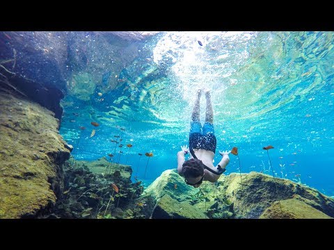 Recapitulação do passeio com ruínas maias do México Coba e 2 cenotes - Como foi seu dia?