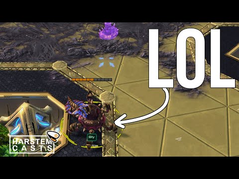 Bly's New PROXY Spine rush