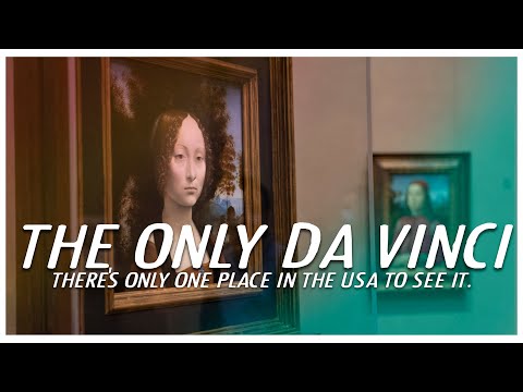 The only Leonardo Da Vinci in the USA - Washington DC's National Gallery.
