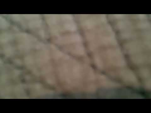 VHS Suprise 24.1.2022