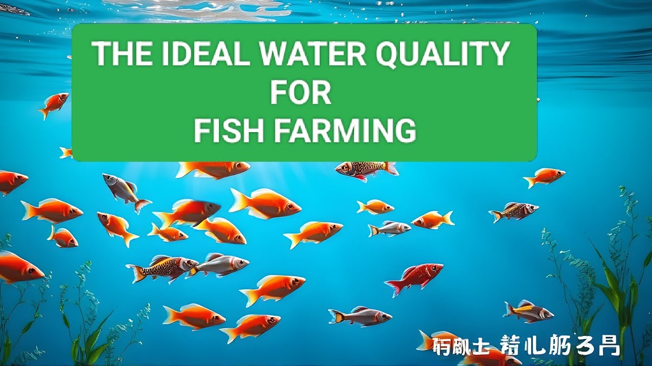 The ideal water quality standards for Fish Farming #aquaculture #fishfarming #tilapia #tilapiafish