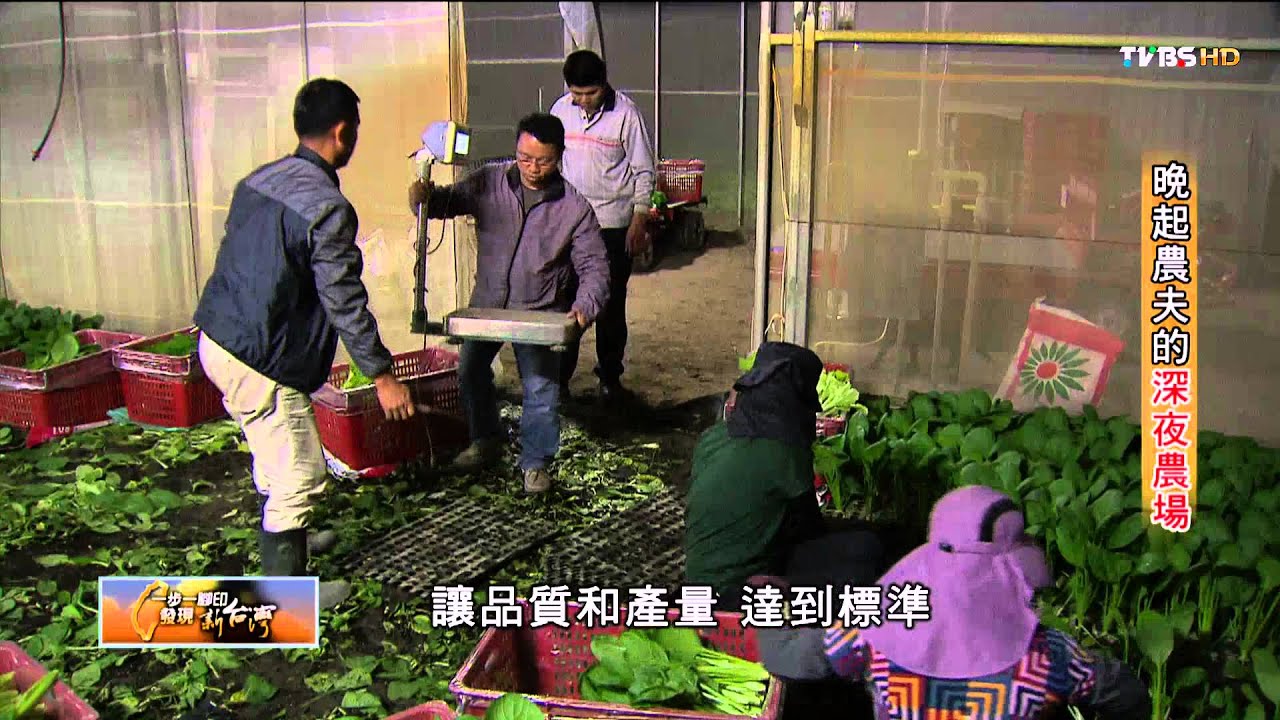 【一步一腳印】晚起農夫的深夜農場