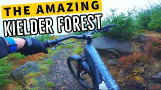 Learning Important Lessons on the Dead Water Trail in Kielder
