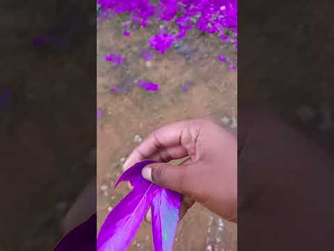 #song #lyrics #music #cover #tamilslowedsongs #katchiserasong