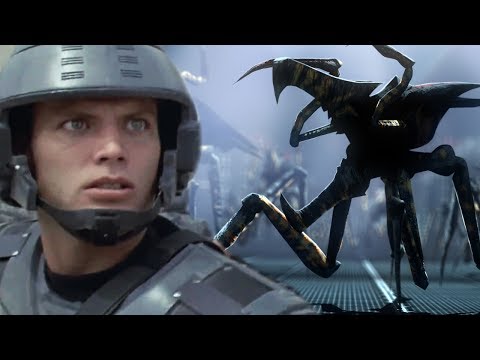 WARRIOR BUG EXPLAINED - ALL VARIATIONS - STARSHIP TROOPERS