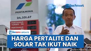 Harga BBM Non-subsidi Naik per Hari Ini tapi Pertalite & Solar Dipastikan Normal hingga Akhir Tahun
