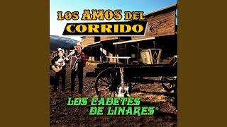 Sonora Y Sus Ojos Negros