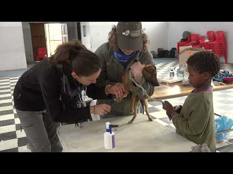 Provide Veterinary Care for Rural Communities