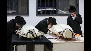 הלווית האחים אלחדד  שנהרגו באסון המחריד בליל ל''ג בעומר במירון | MERON TRAGEDY