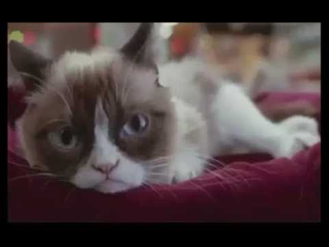Grumpy Cat's Worst Christmas Ever 2 Official Trailer