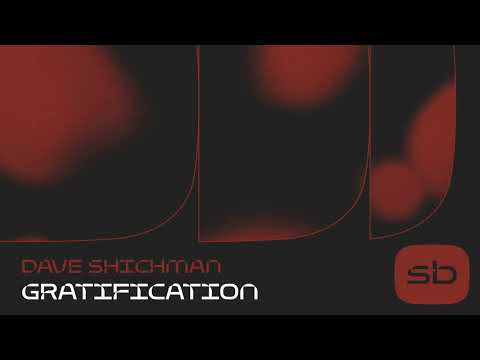 Dave Shichman - Gratification