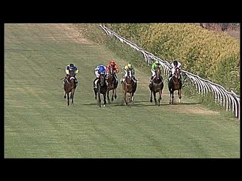 Galoppo 15/07/2020 - 3ª corsa