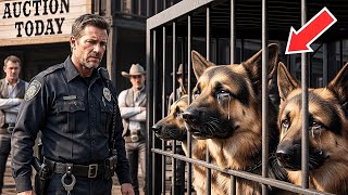 “I Will Take All These Retired Police Dogs,” the Officer Said — No One Expected What Happened Next!