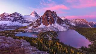 RUNNING WILD -  REBEL AT HEART