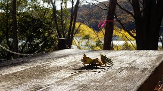 2023.11.25 姫路市立自然観察の森散策
